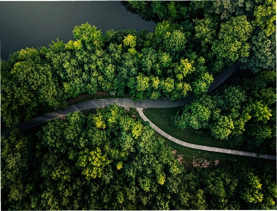 Green Operations & Environmental Stewardship