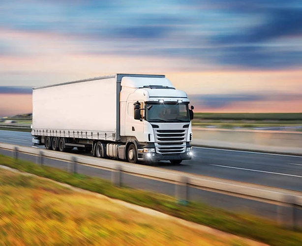 Domestic Road Freight
